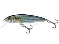 Wobler Salmo Minnow Sinking 5 | 5cm 5g | 2" 3/16oz - Fresh Water Minnow