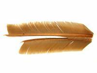 Hareline Dubbin Pióra Turkey Biot Quills