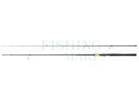 Rod Ryobi Virtus Spinn 2.45m 5-21g