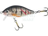 Jaxon Lures Holo Select Karaś SW - Shallow Water