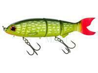 Wobler Gunki Itoka Run 180mm 77.6g - Gold perch Orange