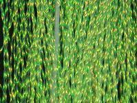 Krystal Flash - Fl. Chartreuse