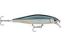 Wobler Rapala Precision Xtreme Air Boss Saltwater 10cm 15.5g - Anchovy