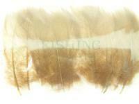 Mallard Duck Drake Grey Flank Large 5-8cm - March Brown