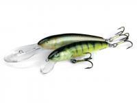 Salmo Woblery Minnow