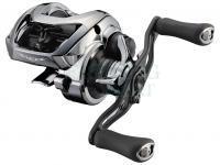 Multiplikator Daiwa Steez Limited SV TW 1000HL