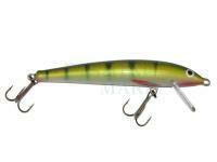 Wobler Gloog Nike 100S-PN