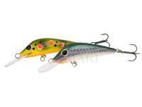 New hard lures, soft baits and japanese hooks