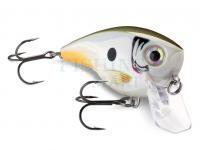 News from Rapala, Illex, Gunki, Preston, Jaxon!