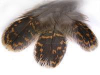 Veniard Feather - loosely