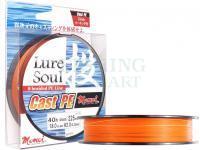 Momoi Braided lines Lure Soul Cast P.E