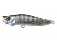 Sea lure R.A.POP 70mm 7g Floating - CKR
