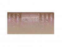 Soft bait Tiemco PDL Locoism Flexy Shad 3.5 inch | Shrimp Flavor - 226