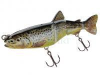 Jenzi FC-Line Carolina-Rig - Pike leaders - FISHING-MART