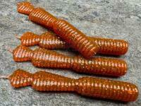 Soft Baits Great Fish GF2 Leech 60mm 1.8g - no scent - motor oil red