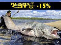 Rabat -15% na Black Cat, Quantum i DAM! Kołowrotki Shimano Stella FK ponad 1000.00 zł taniej!