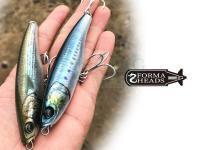 -20% discount on Dragon, DAM and Perch`ik! Little Jack - new Japan lures!