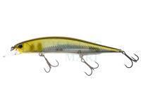 Lure DUO Realis Jerkbait 120SP - DRA3050 Half Mirror Ayu