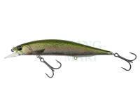 Wobler DUO Realis Jerkbait 120SP Pike Limited - CCC3836 Rainbow Trout ND