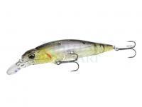 DUO Woblery Realis Rozante 77SP
