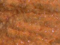 Semperfli EggStatic Egg Fritz 8mm - Peach