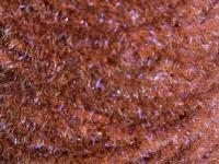 Semperfli EggStatic Egg Fritz 8mm - Rootbeer