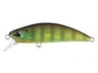 Lure DUO Spearhead Ryuki 50S - CCC3055 Chart Gill