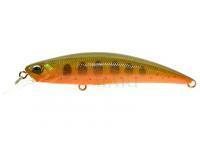 Lure DUO Spearhead Ryuki 70S - ANA4027 Arctic Char II