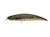 Wobler Duo Spearhead Ryuki 80S - CCC3815 Brown Trout
