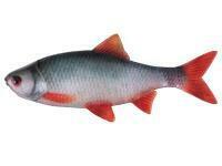 Przynęty miękkie Fox Rage Ultra Natural Fillets 6cm - Roach