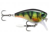 Big Deal-20%: DAM MADCAT, Tiemco Lures, Stonfo Products!