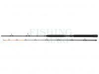 Wędka Dam Salmonizer Planer 8' 2.40M MODERATE 20-35LBS 2SEC