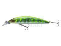Wobler Daiwa Tournament Current Master 93F-SR | 9.3cm 12g - chart back zebra