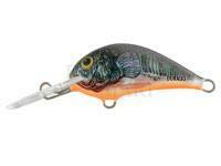 Lure Dorado Blagier 3,5F CK