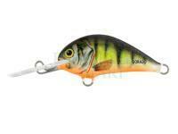 Lure Dorado Blagier 3,5F P