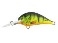 Lure Dorado Blagier 3,5S FP