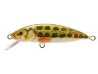 Lure Dorado Classic C-4 Sinking MN