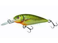 Wobler Dorado Invader I-5 Floating GRS