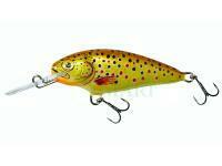 Dorado Invader I-6 Floating TR