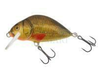 Lure Dorado Lake L-5 Floating BRXX