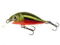 Lure Dorado Scout ST-4 Floating RBD