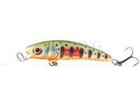 Lure Dorado Stick 5.5cm Floating - DGR
