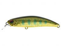 Lure DUO Spearhead Ryuki 60S - ADAZ154 Trebizat Yamame