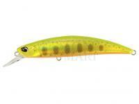 Hard Lure Duo Spearhead Ryuki 80S - ANA4056 Gold Yamame