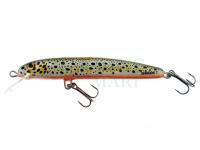 Hard Lure Hunter Shadok 70mm 4.5g F - BD