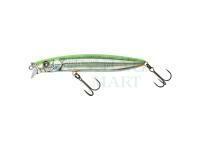 Wobler Illex Hagre Minnow 96 F 96mm 12.2g - RT Visible Roach