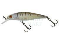 Hard Lure Illex Squad Minnow 95 SP - Tiger Bone