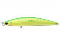 Sea lure IMA iBORN 118F Shallow 118mm 19g - #009