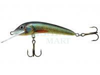 Wobler Jaxon Ferox 10 F UK