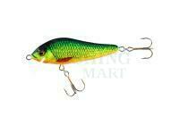 Hard lure Jaxon Holo Select Elon Nature 3D 8cm 11g - PE